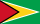 GY Guyana flag